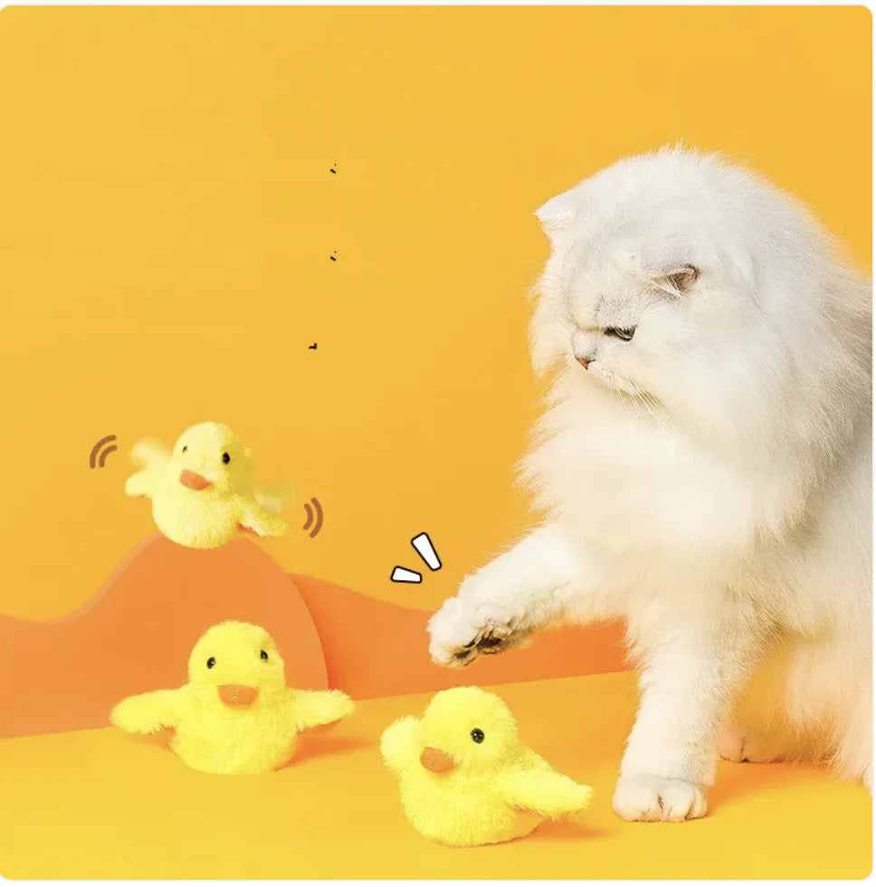 QuackPaws - Electric Duck Cat Toy