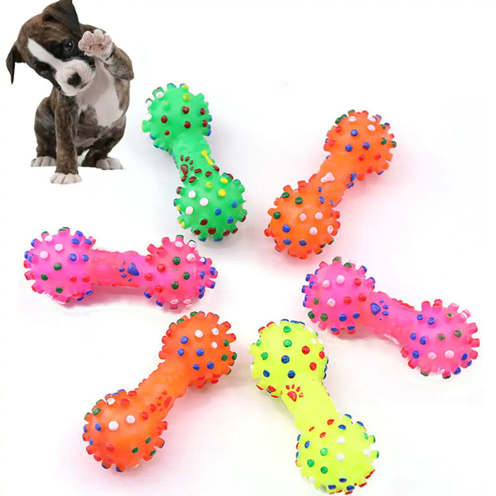DentaPlay - Squeaky Dog Chew Toy