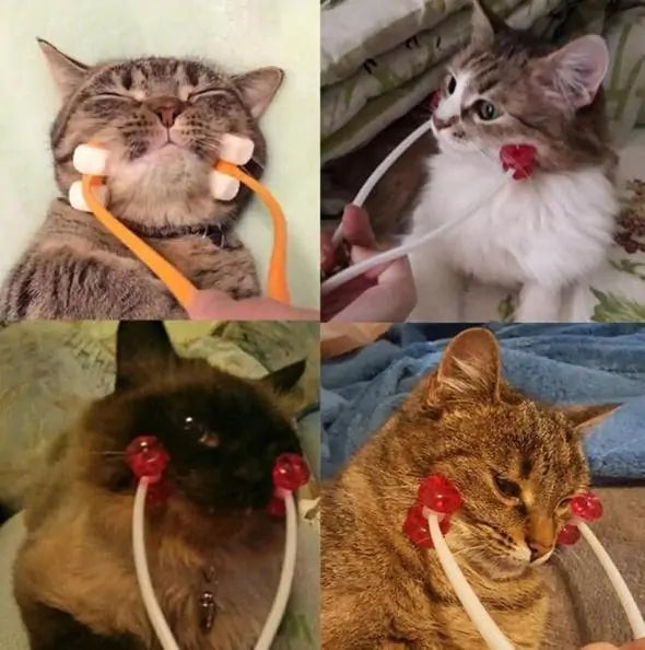 PawZen - Pet Massager