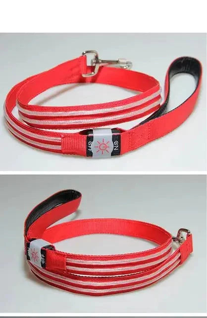 BrightPaws – LED Flashing Waterproof Dog Leash