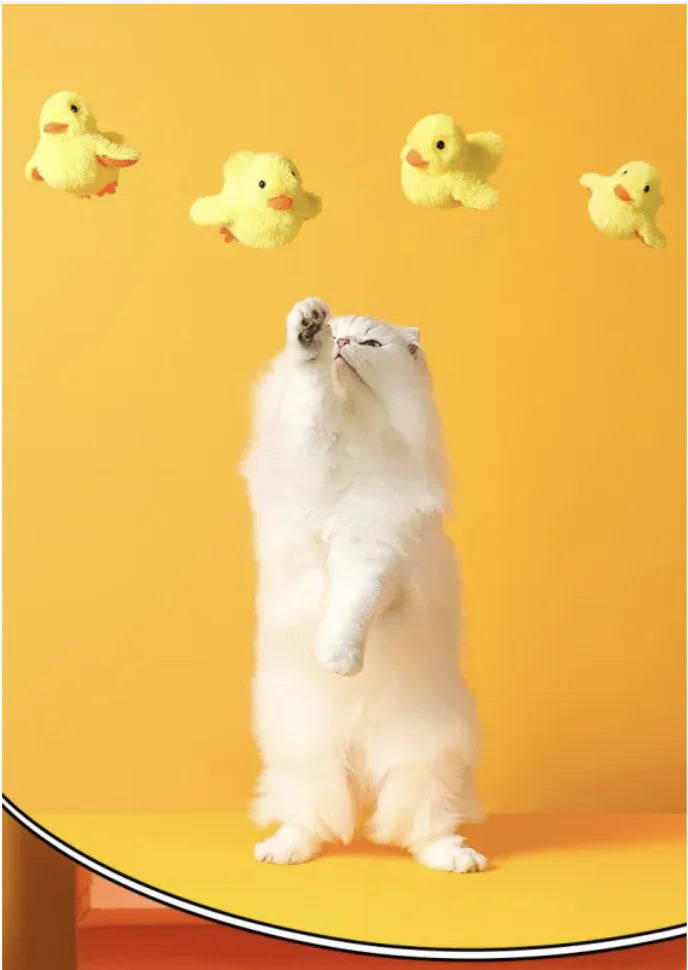 QuackPaws - Electric Duck Cat Toy