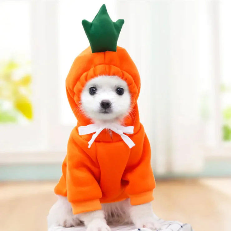 FruitPaws - Cute Fruit Pet Hoodie