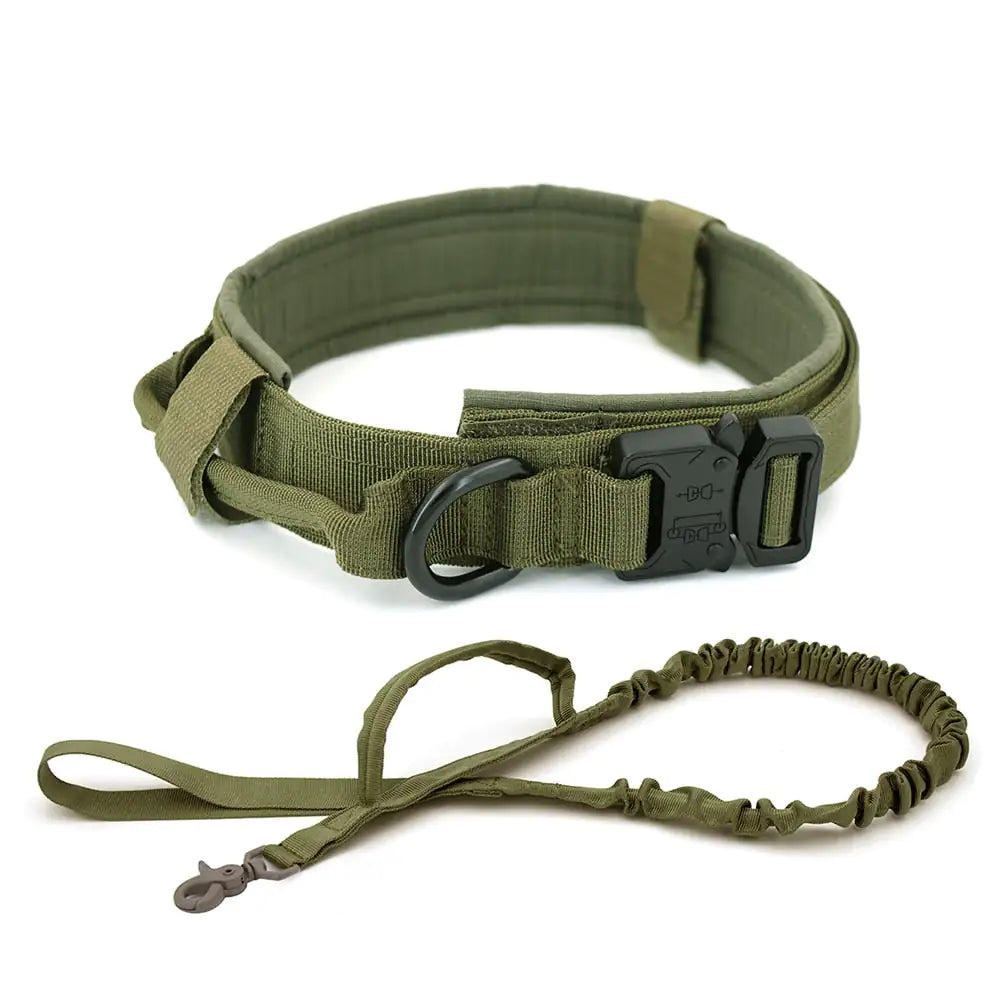 GlowGuard -  Military Dog Collar