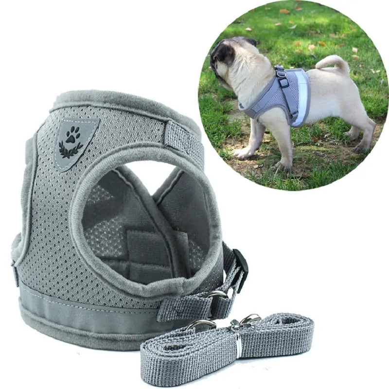 BrightPaw Reflective Harness & Leash Set