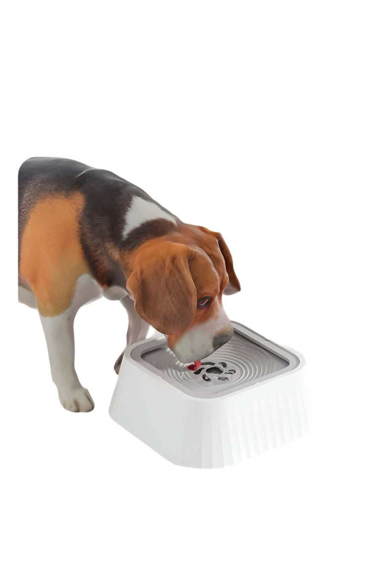 AquaFloat - Floating Pet Water Bowl