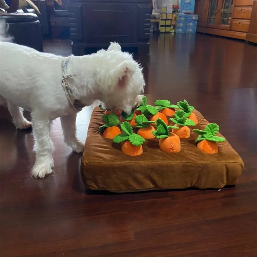 PawQuest - Plush Interactive Training Toy
