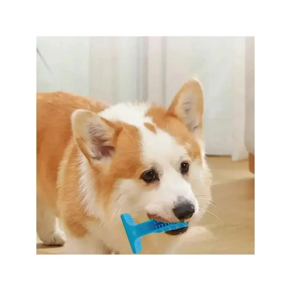 PawBrush - Pet Teether Toothbrush