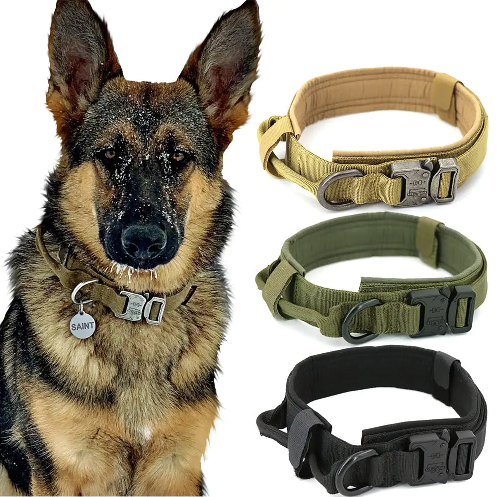 GlowGuard -  Military Dog Collar