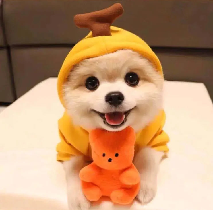 FruitPaws - Cute Fruit Pet Hoodie