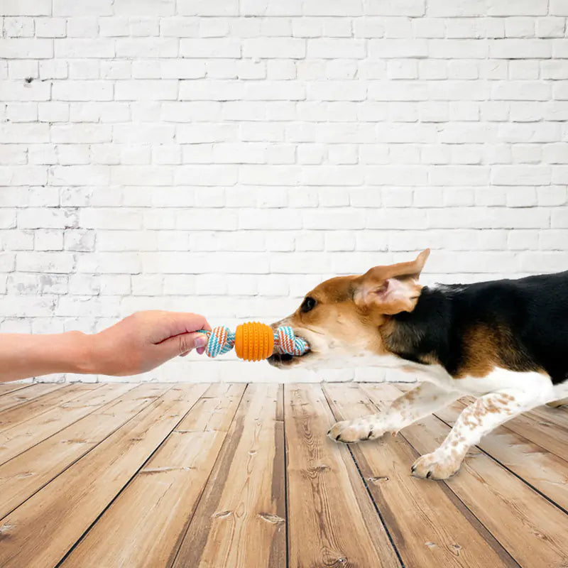 BiteTough Rope - Toy for Pets