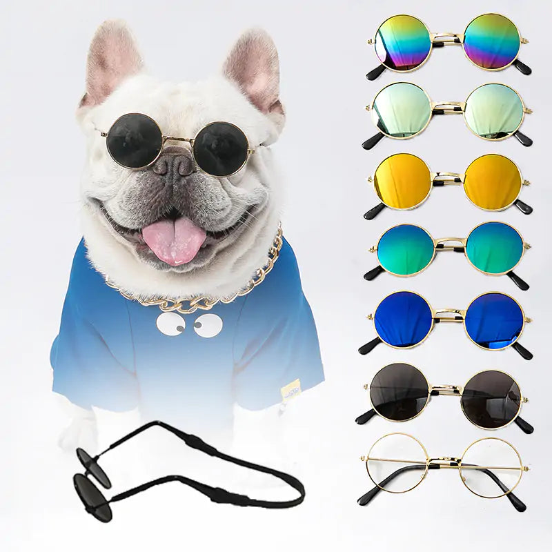 PawShade - Pet Sunglasses