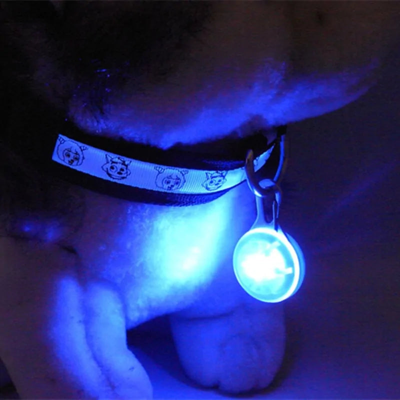 GlowBuddy - LED Glowing Dog Safety Collar