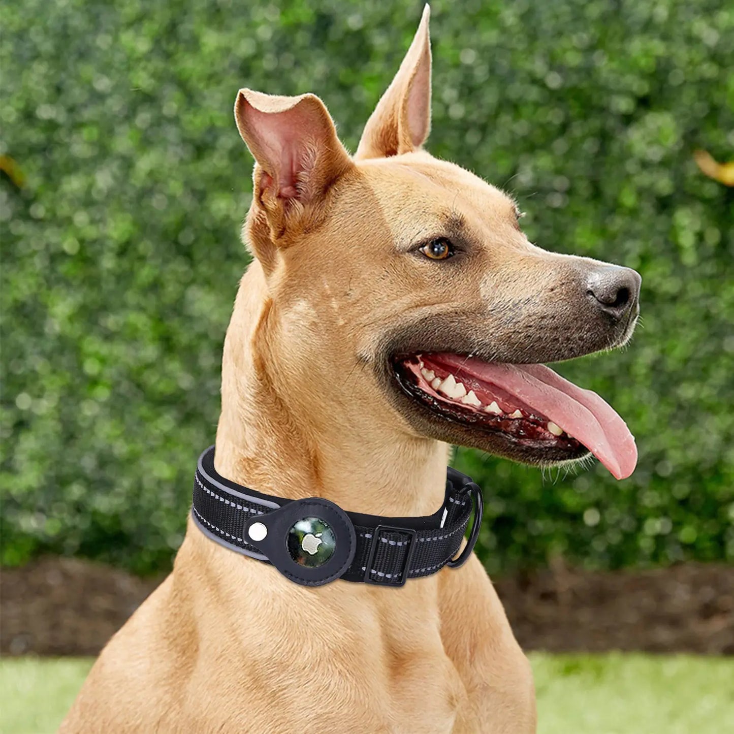 TrackSafe - Airtag Dog Collar