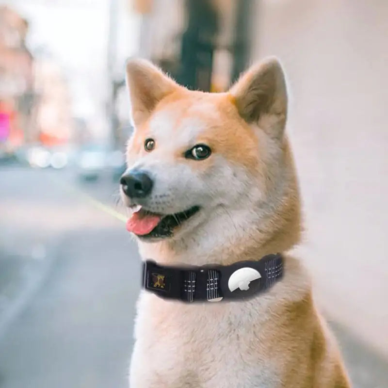 TrackPaws - Smart Tracker Protector for Pets