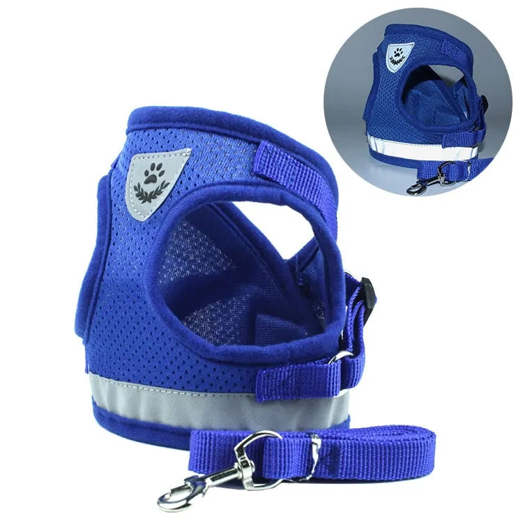 BrightPaw Reflective Harness & Leash Set