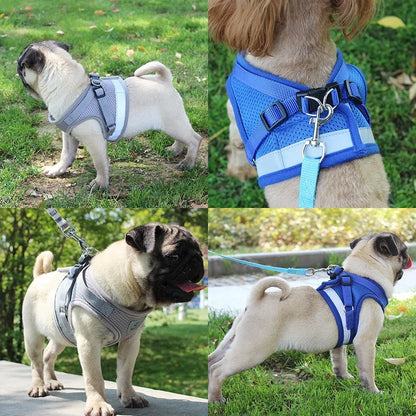 BrightPaw Reflective Harness & Leash Set