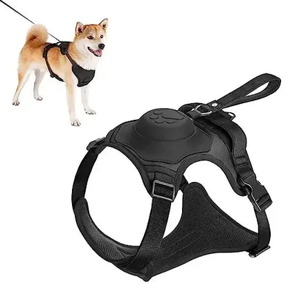 TailWander - Duo Harness & Leash Set