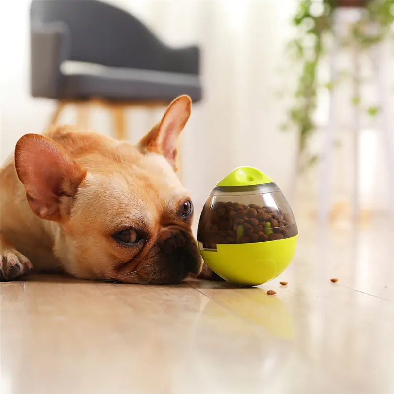 Pets IQ Treat Toy - Boost Your Pet's Intelligence