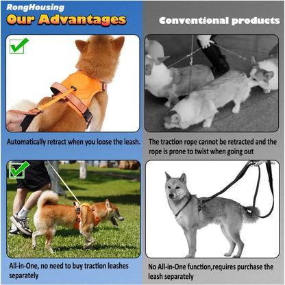 TailWander - Duo Harness & Leash Set