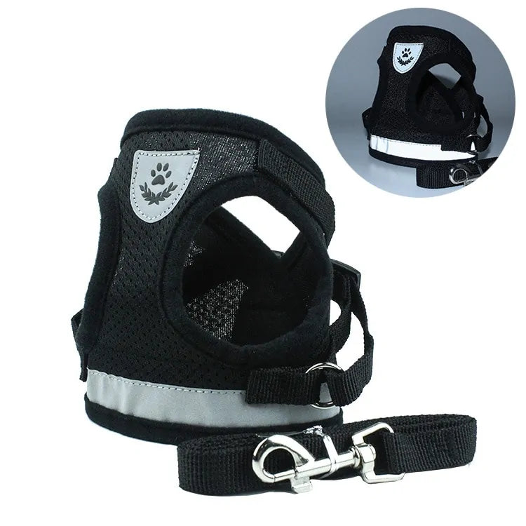 BrightPaw Reflective Harness & Leash Set