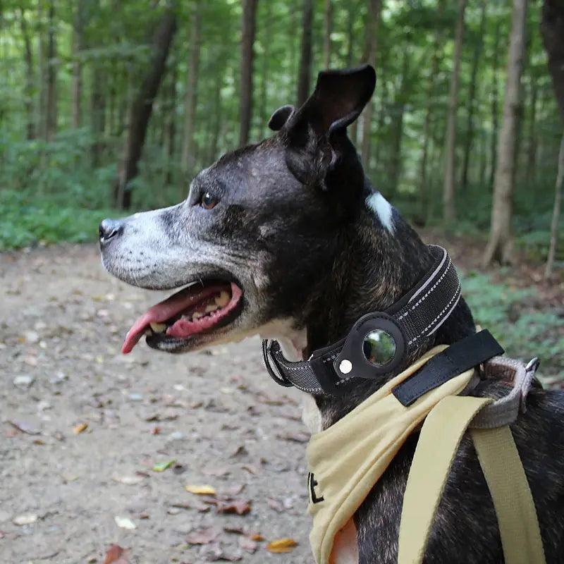 TrackMate - Pet Finder Collar for Apple Airtag