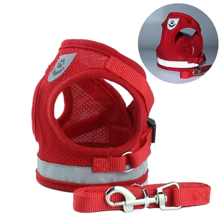 BrightPaw Reflective Harness & Leash Set