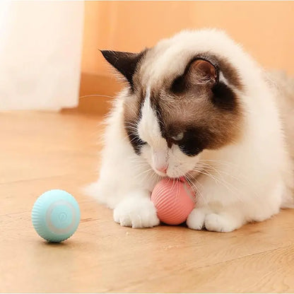 PlayPaws - SmartPlay Electric Ball Toy for Pets