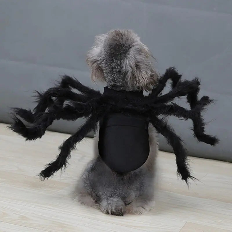 CreepyPaws - Halloween Spider Costume for Pets