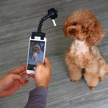 PawSnap - Pet Selfie Stick