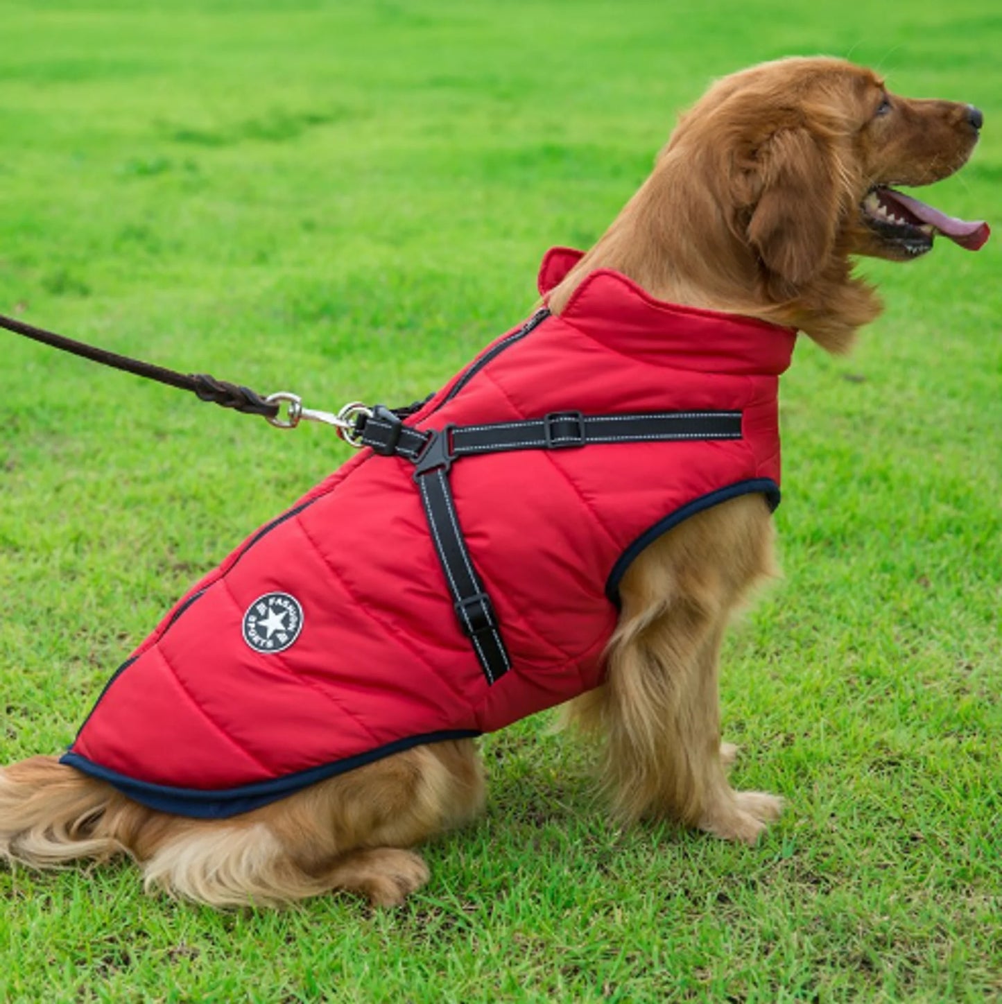 Hometecture Paws – Winter Waterproof Jacket for Dogs