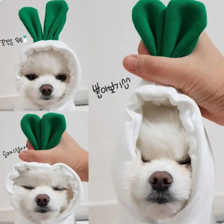 FruitPaws - Cute Fruit Pet Hoodie