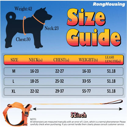 TailWander - Duo Harness & Leash Set