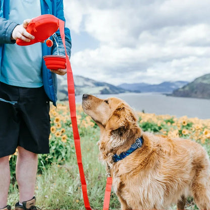 PawVoyage - All-in-One Leash & Adventure Kit