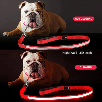 BrightPaws – LED Flashing Waterproof Dog Leash