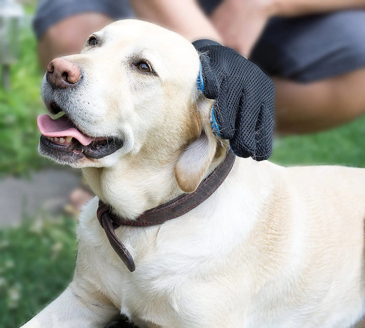 Furr-Free - Anti-Hair Grooming Glove for Pets