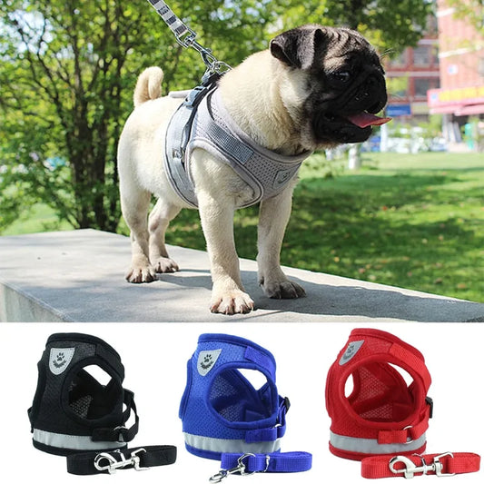 BrightPaw Reflective Harness & Leash Set