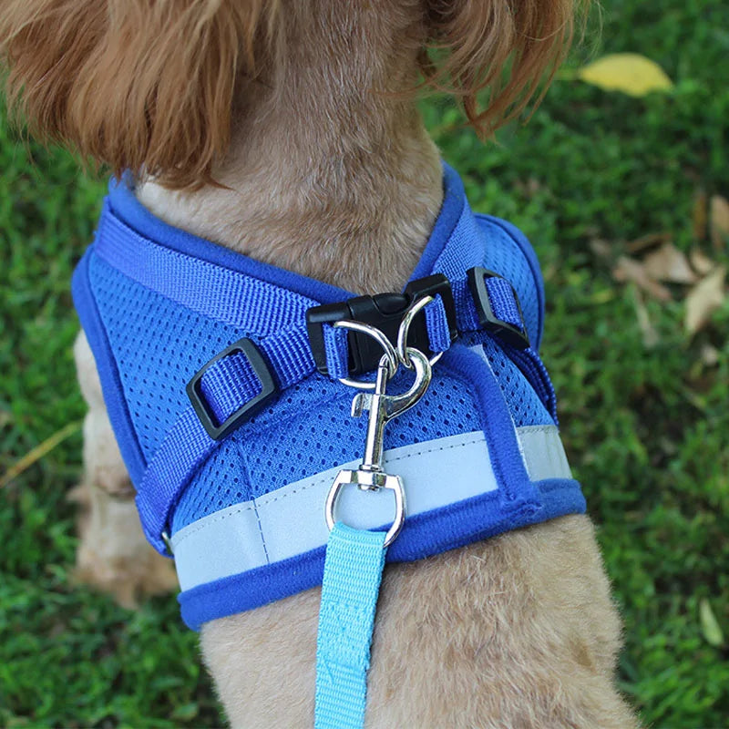 BrightPaw Reflective Harness & Leash Set