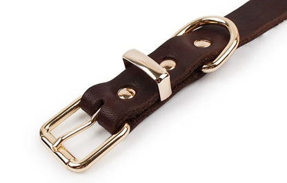 PawLuxe - Leather Dog Collar