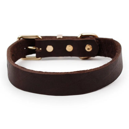 PawLuxe - Leather Dog Collar