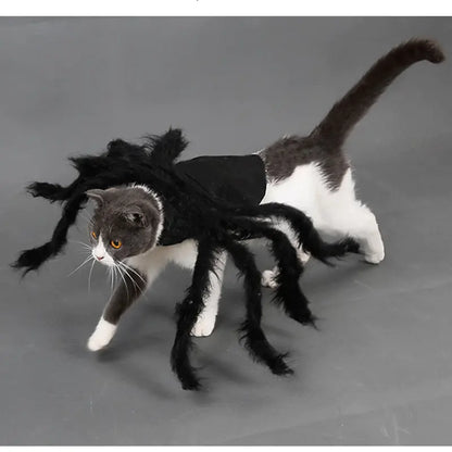 CreepyPaws - Halloween Spider Costume for Pets