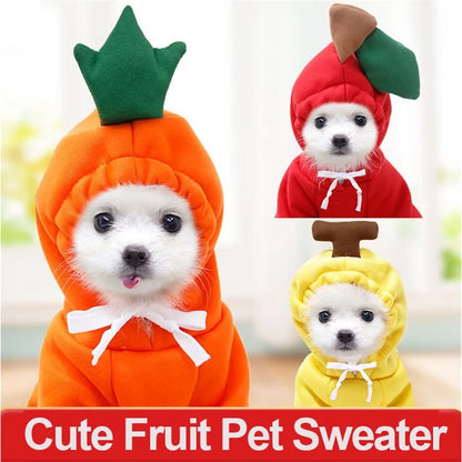 CozyFruit -  Warm Winter Fruit-Themed Dog Clothes