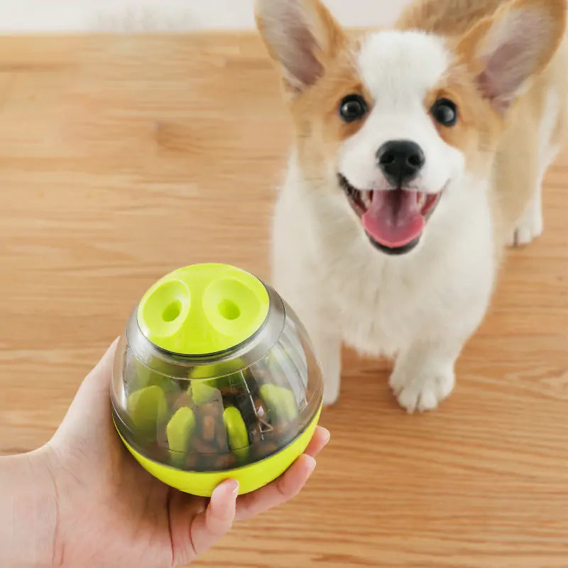 Pets IQ Treat Toy - Boost Your Pet's Intelligence