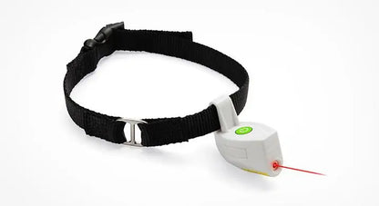 ChaseMaster - LED Laser Pet Collar