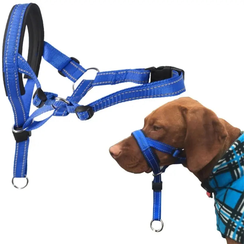 LeadRight – Dog Halter Training Head Collar