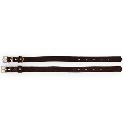 PawLuxe - Leather Dog Collar