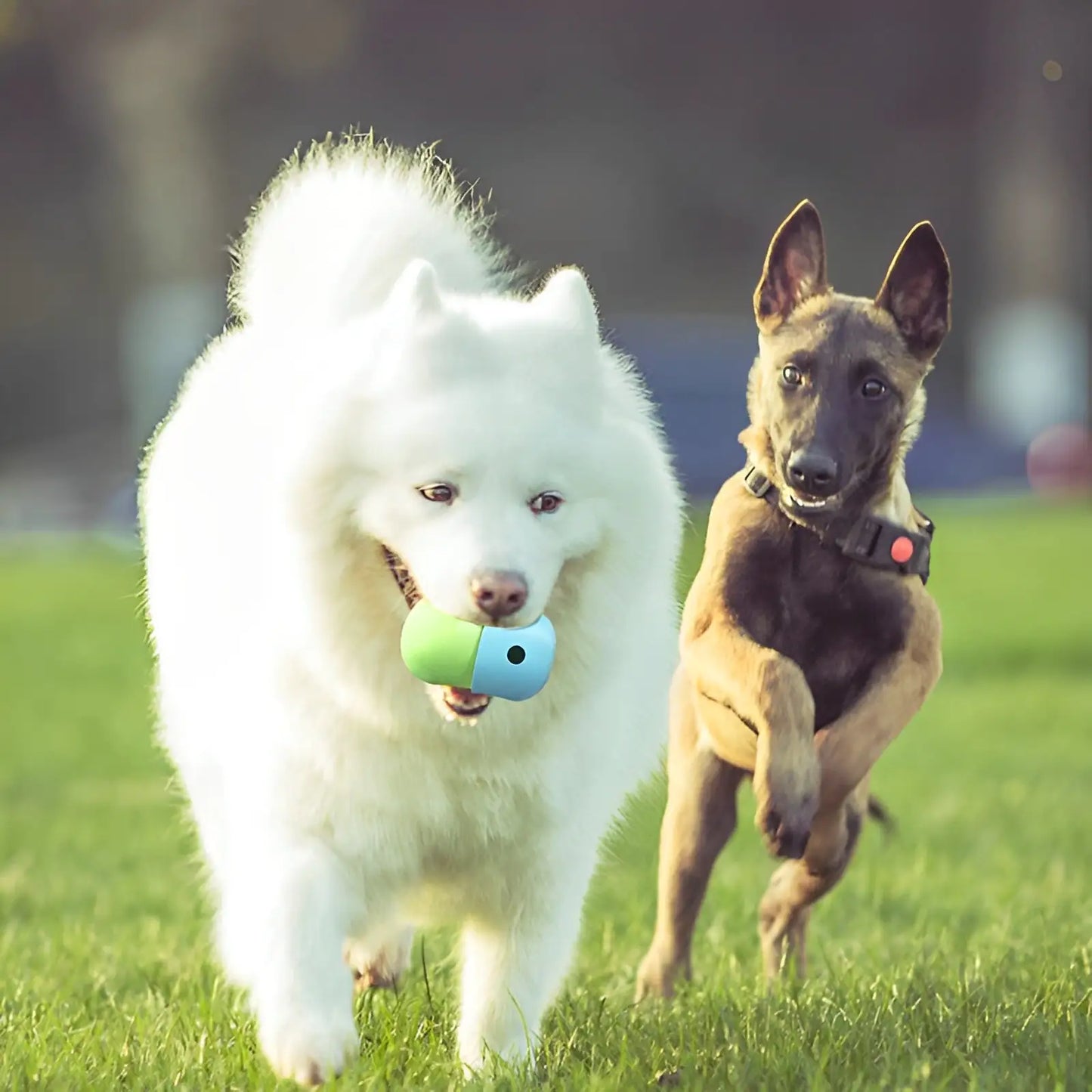PawFeast - Interactive Silicone Pet Food Toy
