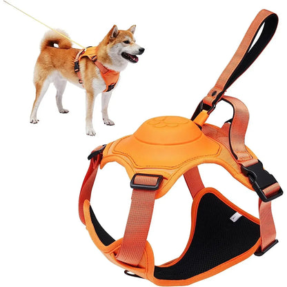 TailWander - Duo Harness & Leash Set