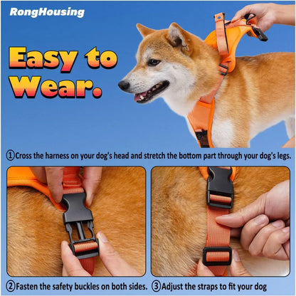 TailWander - Duo Harness & Leash Set