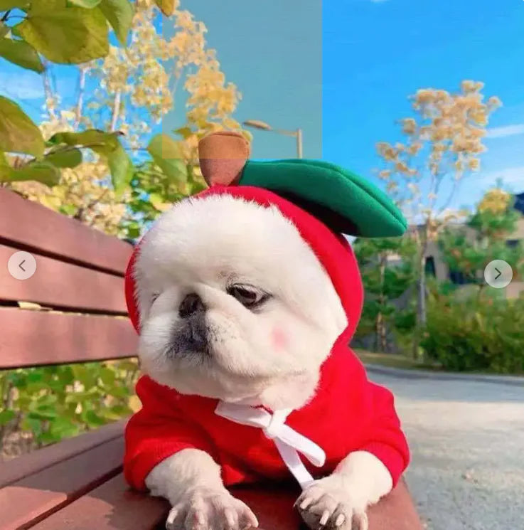 FruitPaws - Cute Fruit Pet Hoodie