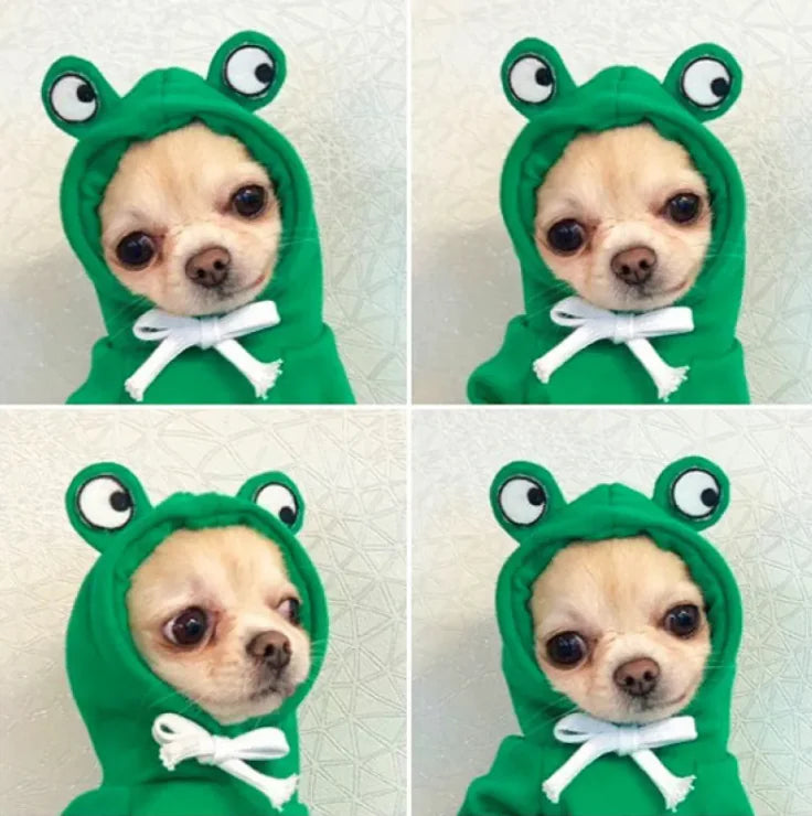 FruitPaws - Cute Fruit Pet Hoodie
